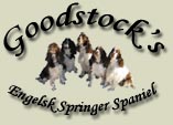 Goodstocks logo
